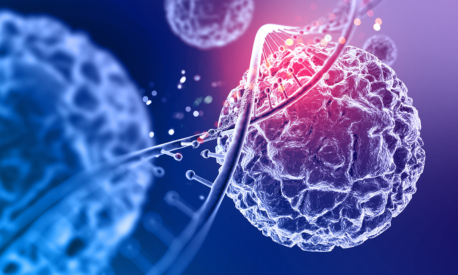 The Science Behind Photobiomodulation (PBM)